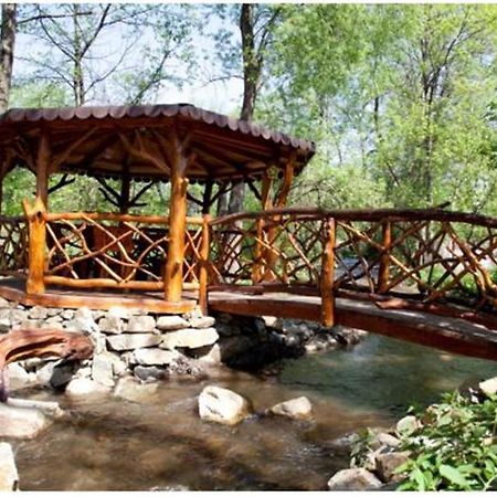 Pensiunea Pentru Tine Prietene Arcani Buitenkant foto