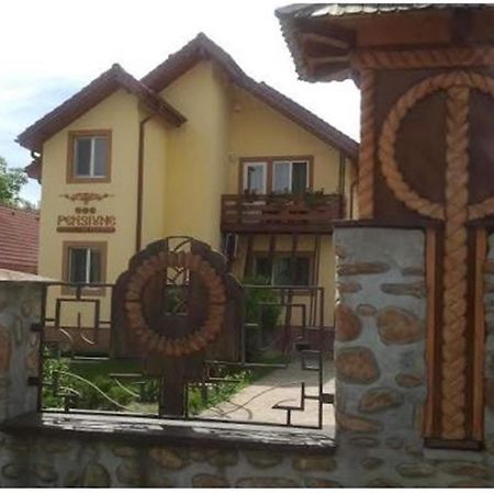 Pensiunea Pentru Tine Prietene Arcani Kamer foto