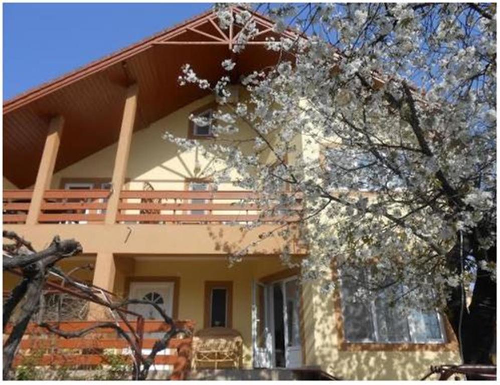 Pensiunea Pentru Tine Prietene Arcani Kamer foto