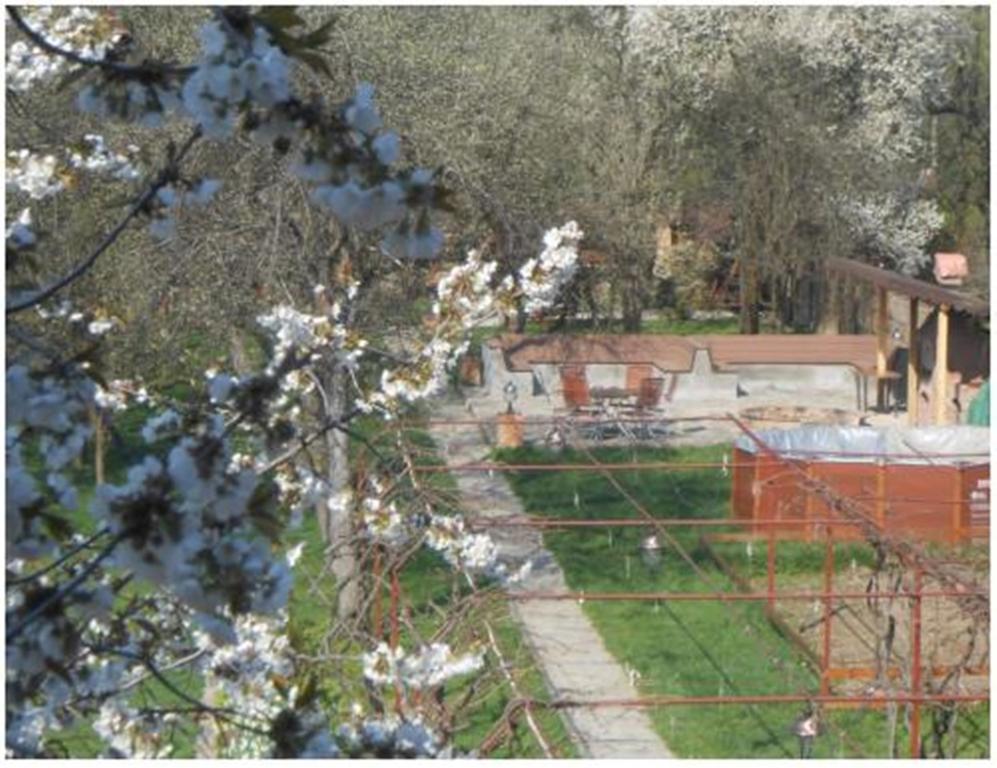 Pensiunea Pentru Tine Prietene Arcani Kamer foto